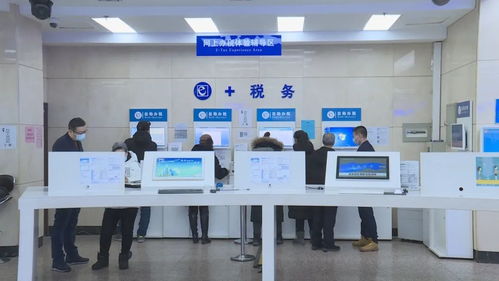 黑龙江税务服务推“三化”，营商环境悄然改变
